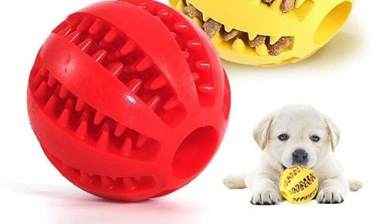 Durable dental ball for dogs
