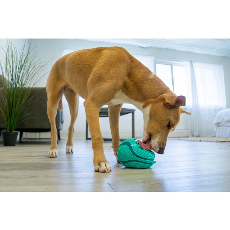 KONG Licking Toy