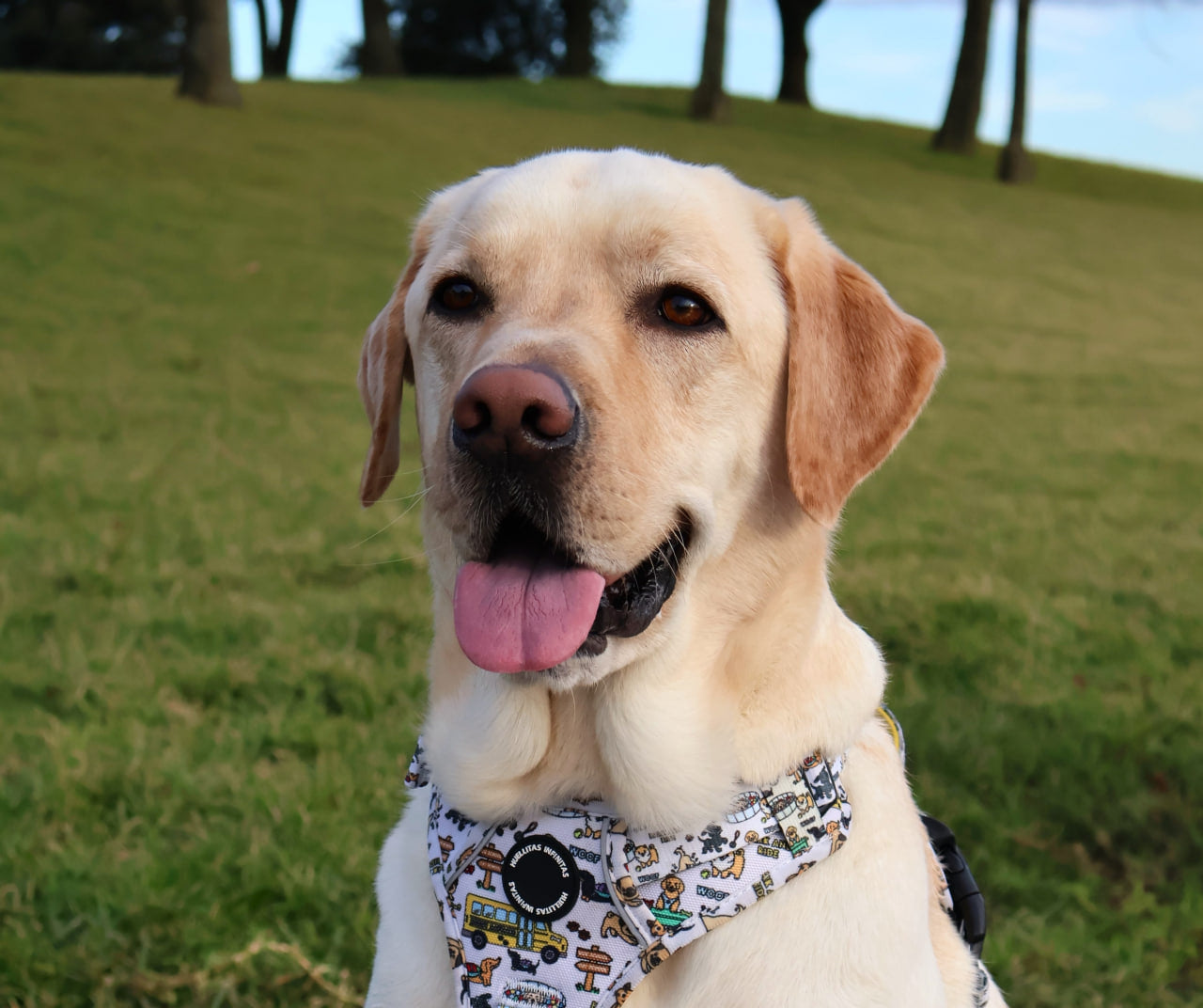 Arnés Antitirones XTREME 4x4 GUARDERÍA