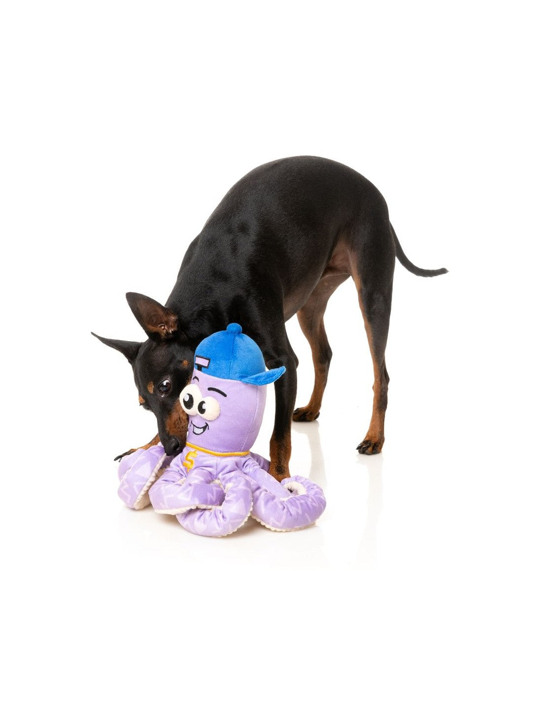 Hip Hoptapus The Octopus Plush Toy for Dogs