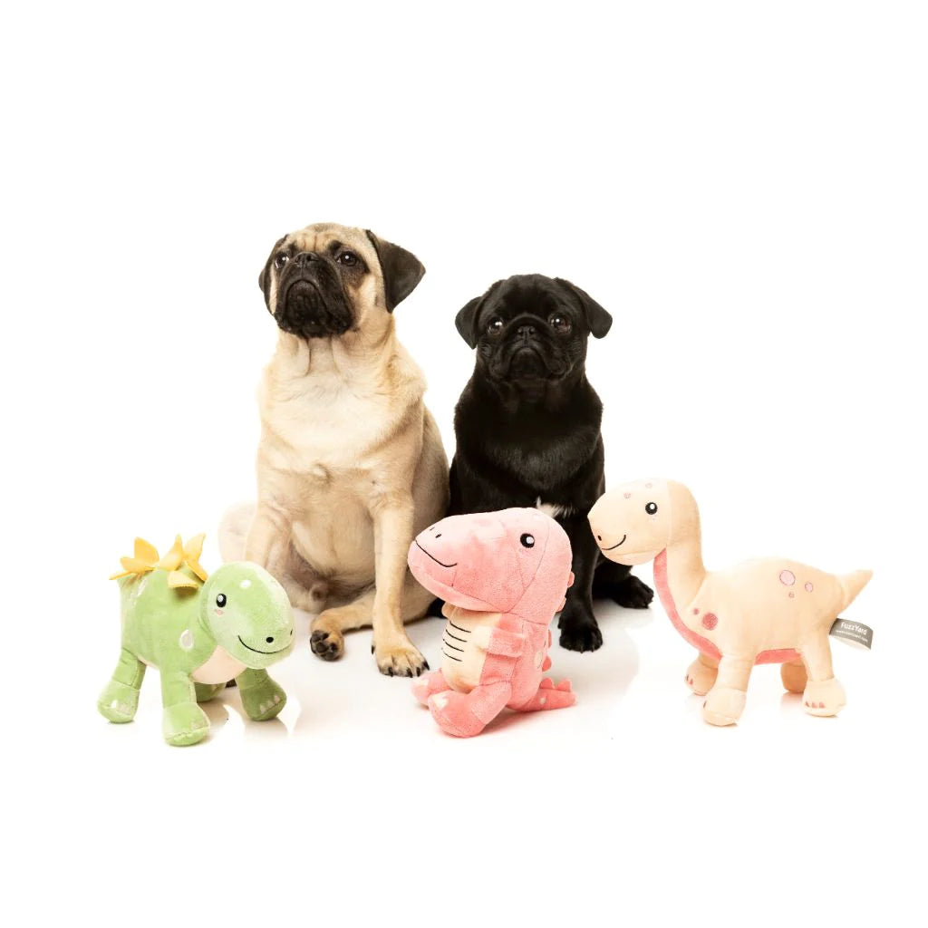 STANNIS The Stegosaurus Dino Plush Toy for Dogs