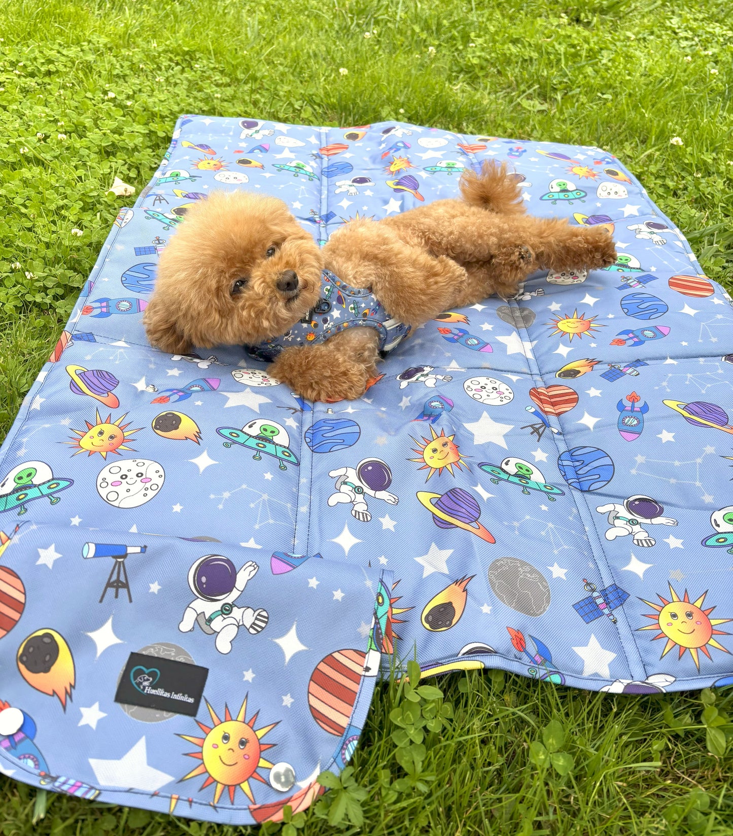 Cama Enrollable Diseño MUNDO ESPACIAL ¡Nuevo Diseño!