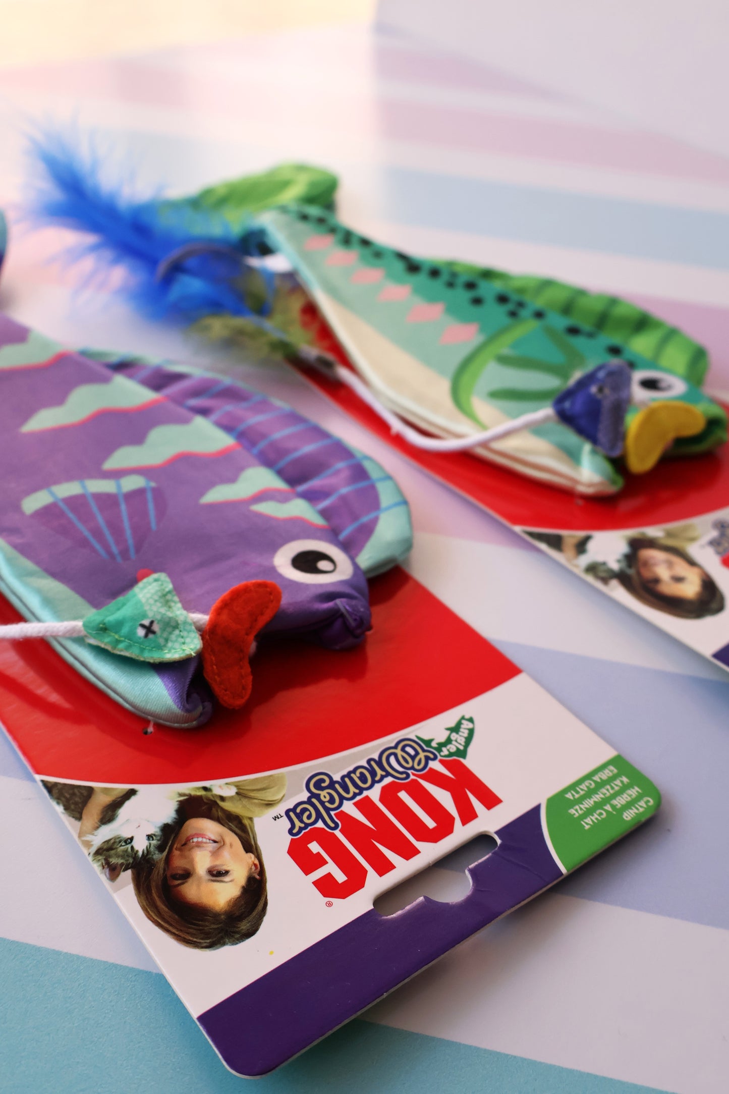 KONG Fish with removable skeleton, catnip and scratch