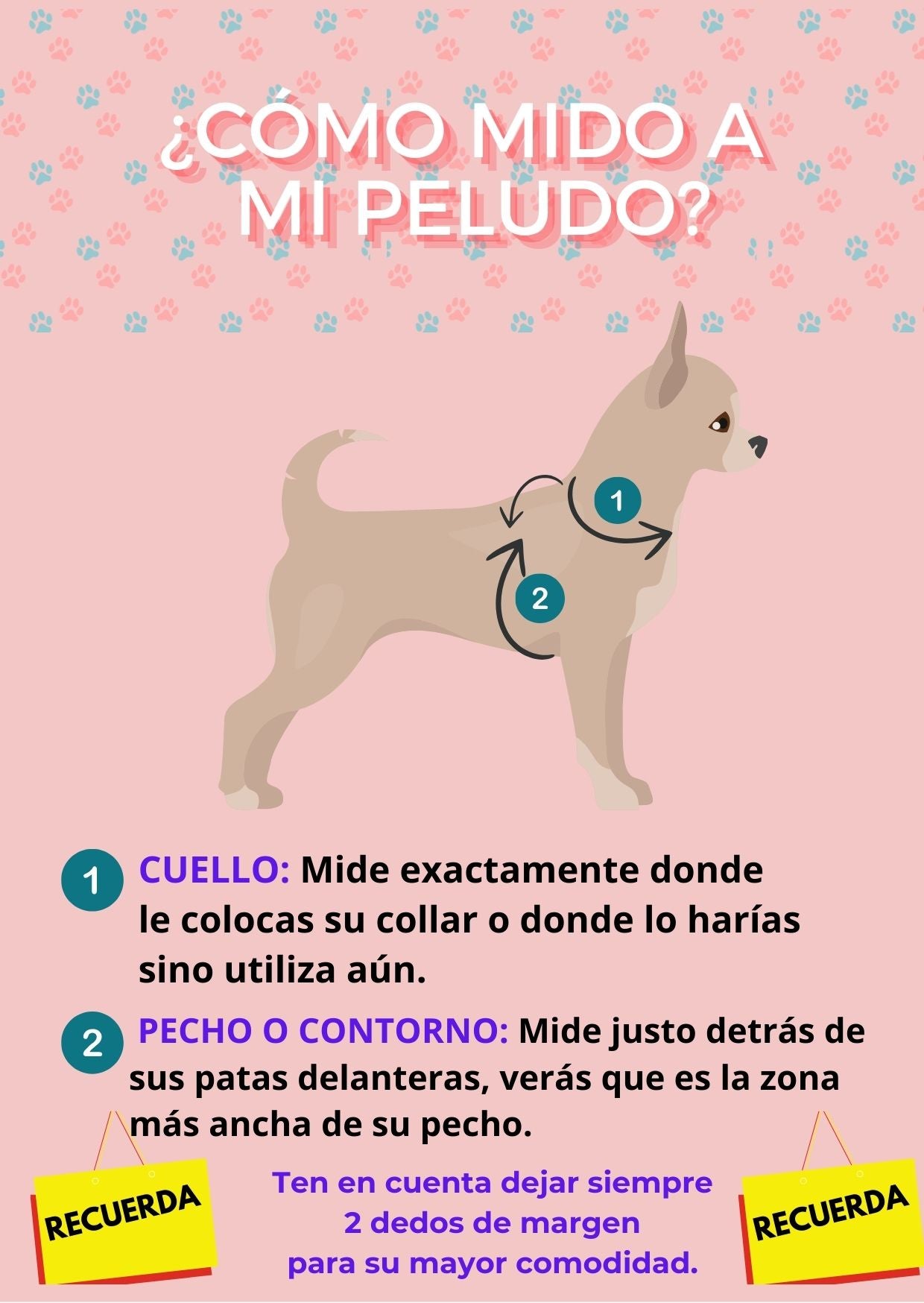 Indicaciones para saber como medir a mi perro cuando le compro un arnés. Tienda online de accesorios para perros y gatos 91