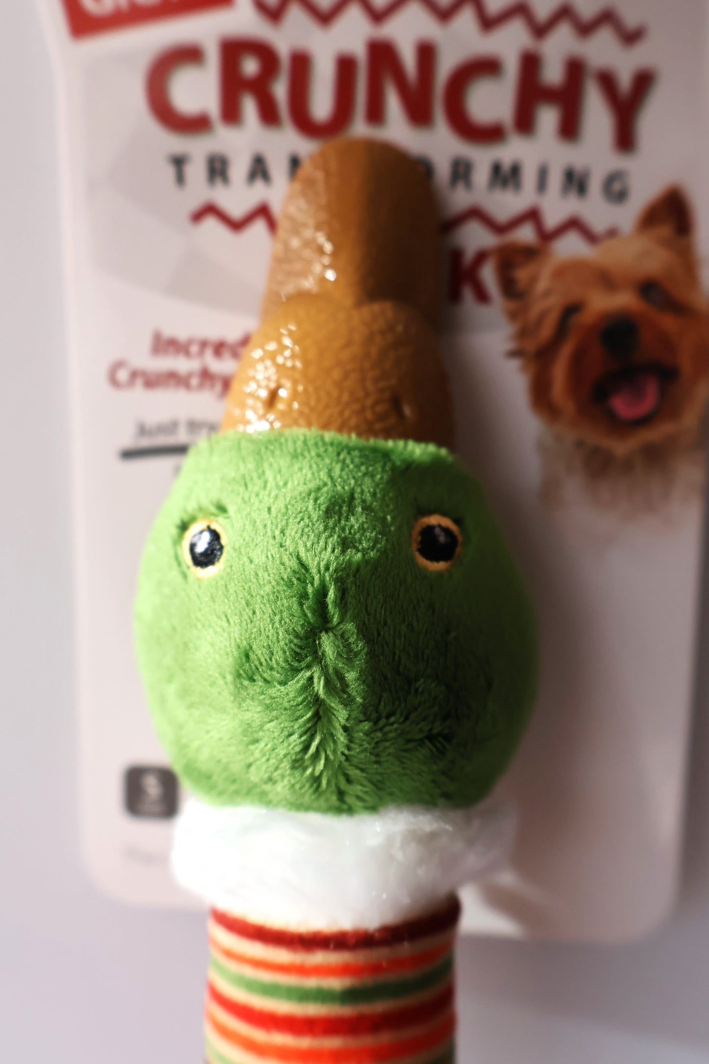 Long Neck Duck Dog Toy