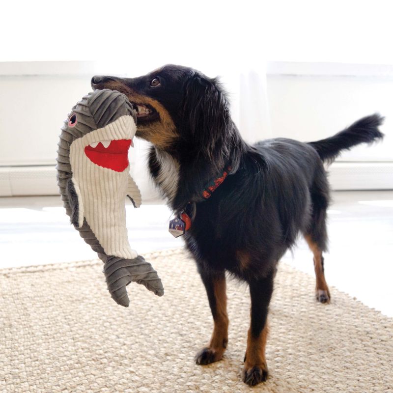 KONG Shark Toy