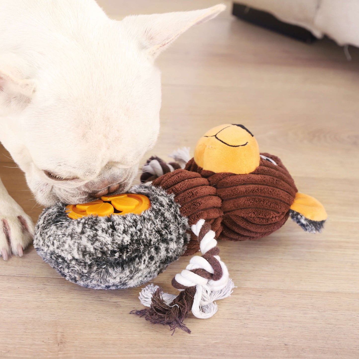 2 in 1 Dog Toy! Toy + Treat Hider. Animal Bear Premier Dog