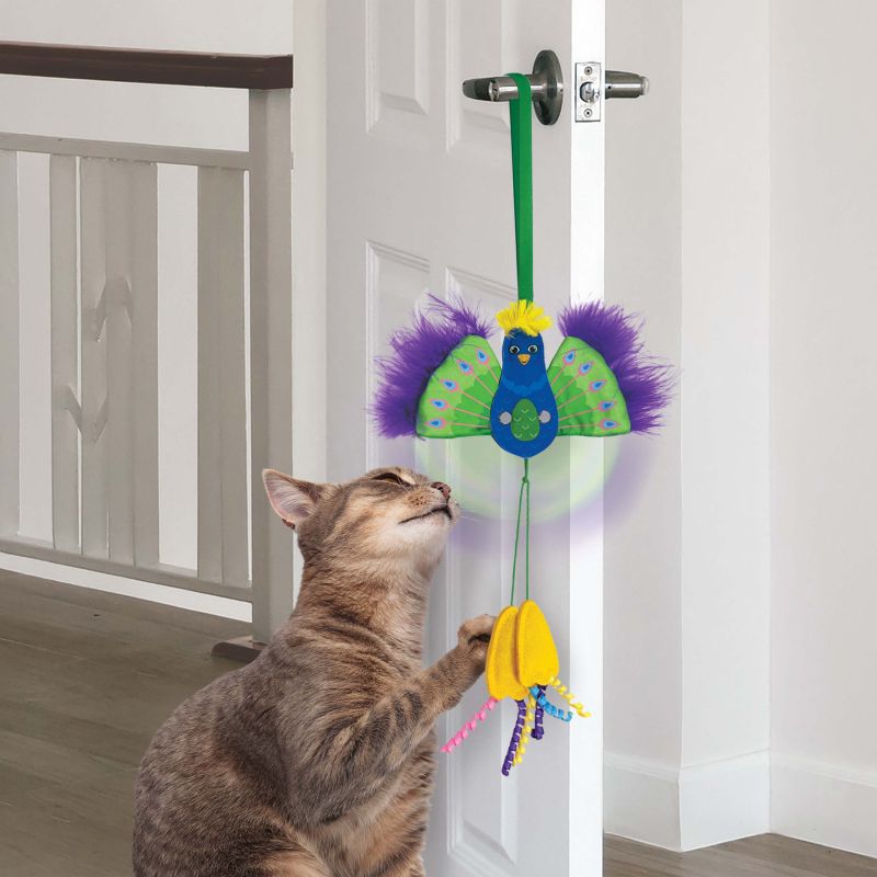 Door toy. Peacock sensory toy for cats.
