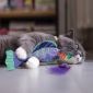 KONG Fish with removable skeleton, catnip and scratch