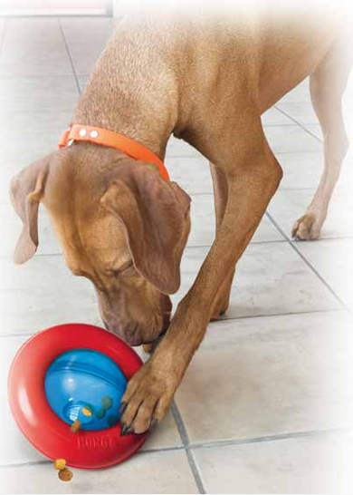 KONG Gyro Portachuches para tu perro