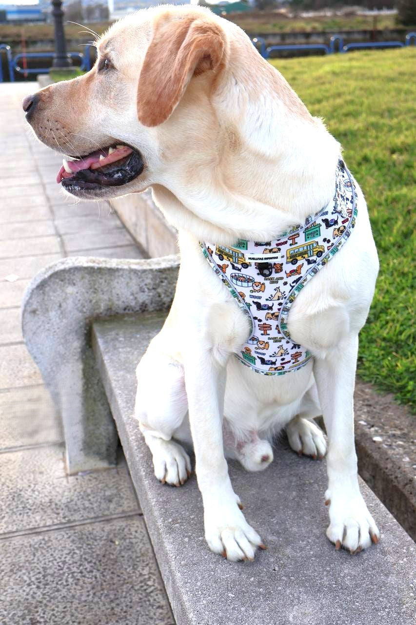 Arnés ajustable Guardería