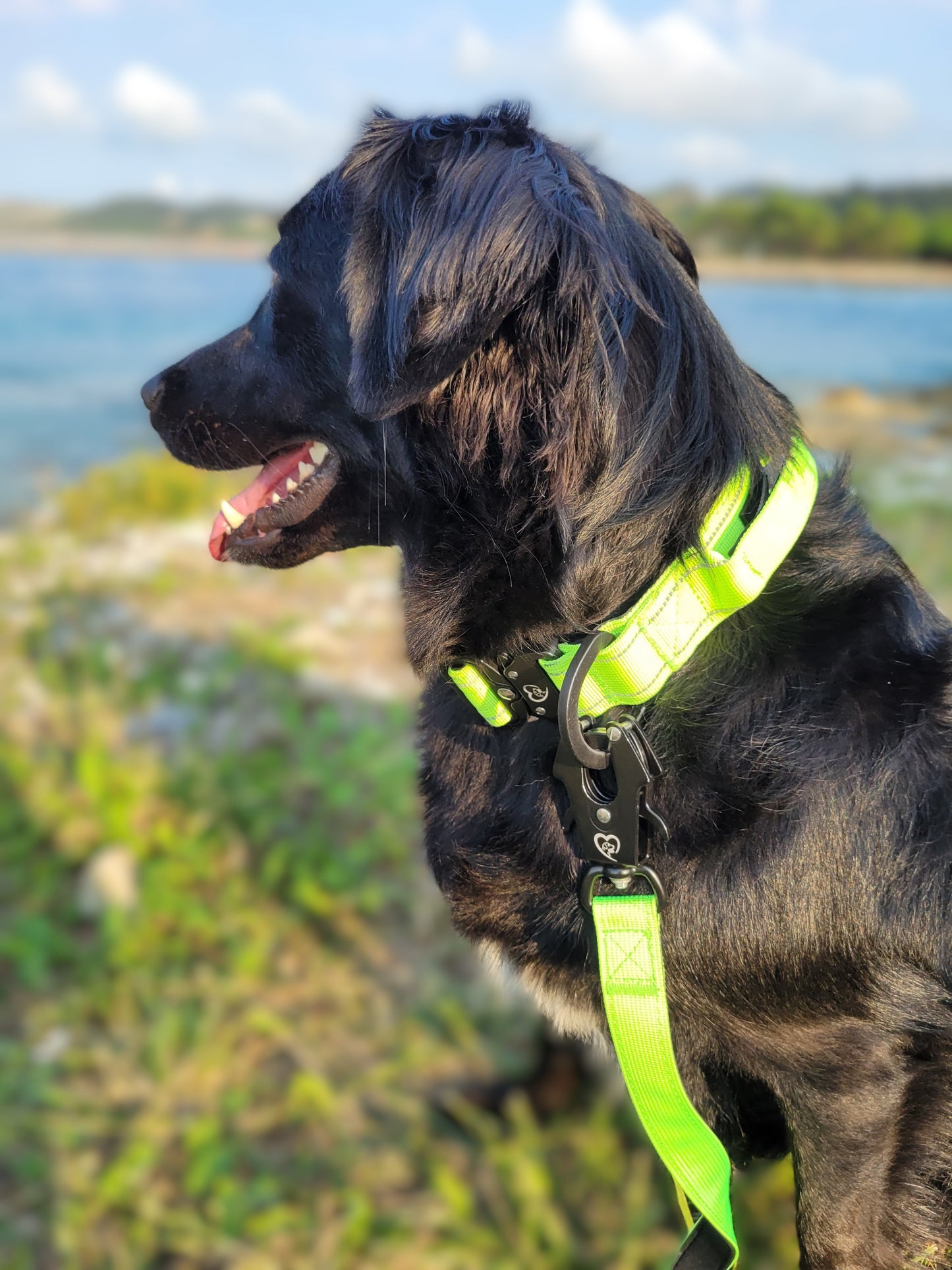 Correa Táctica con 3 posiciones y Cierre de Seguridad