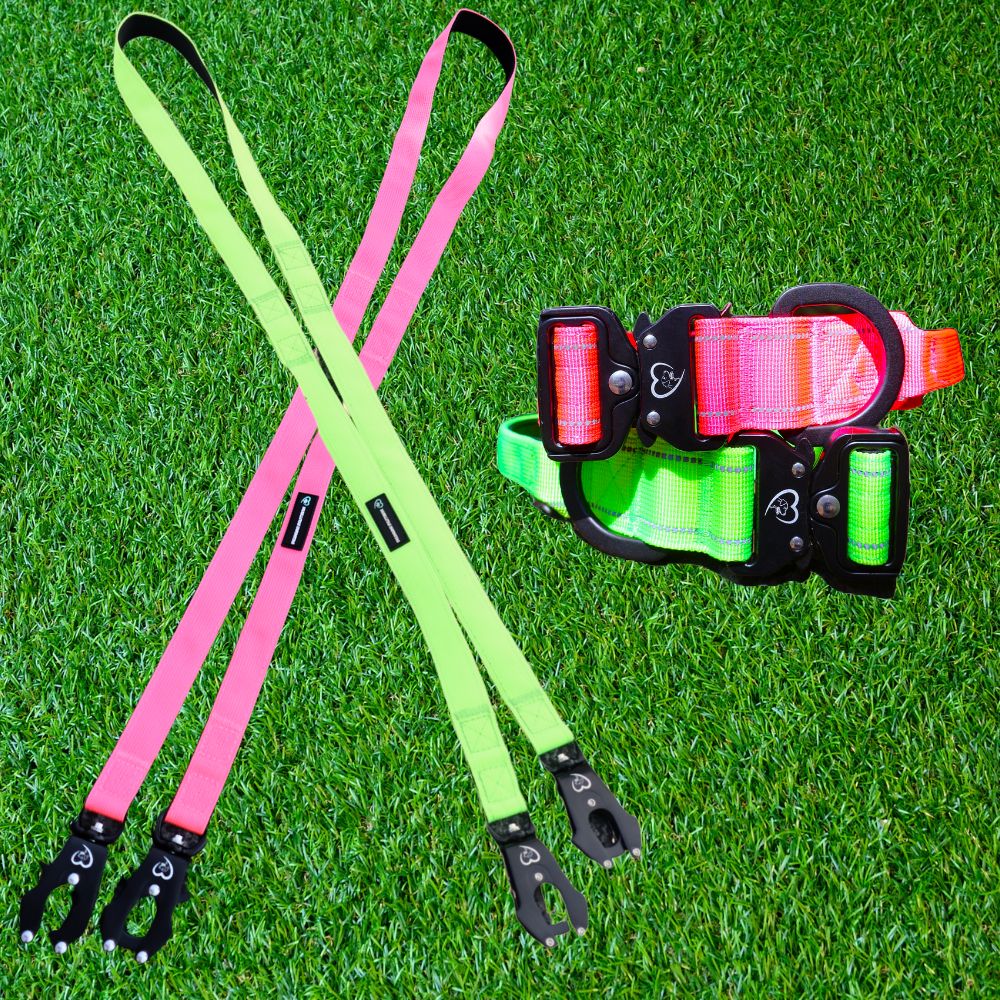 Pack Collar Táctico+Correa Táctica Multiposición