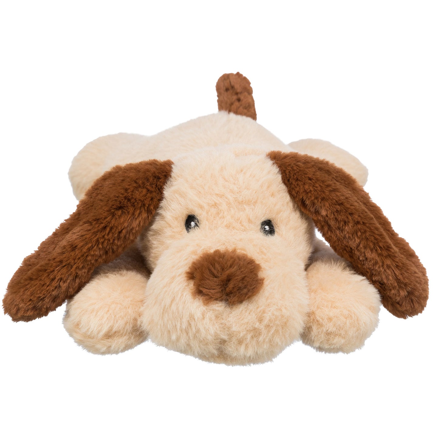 Little Eared Dog
