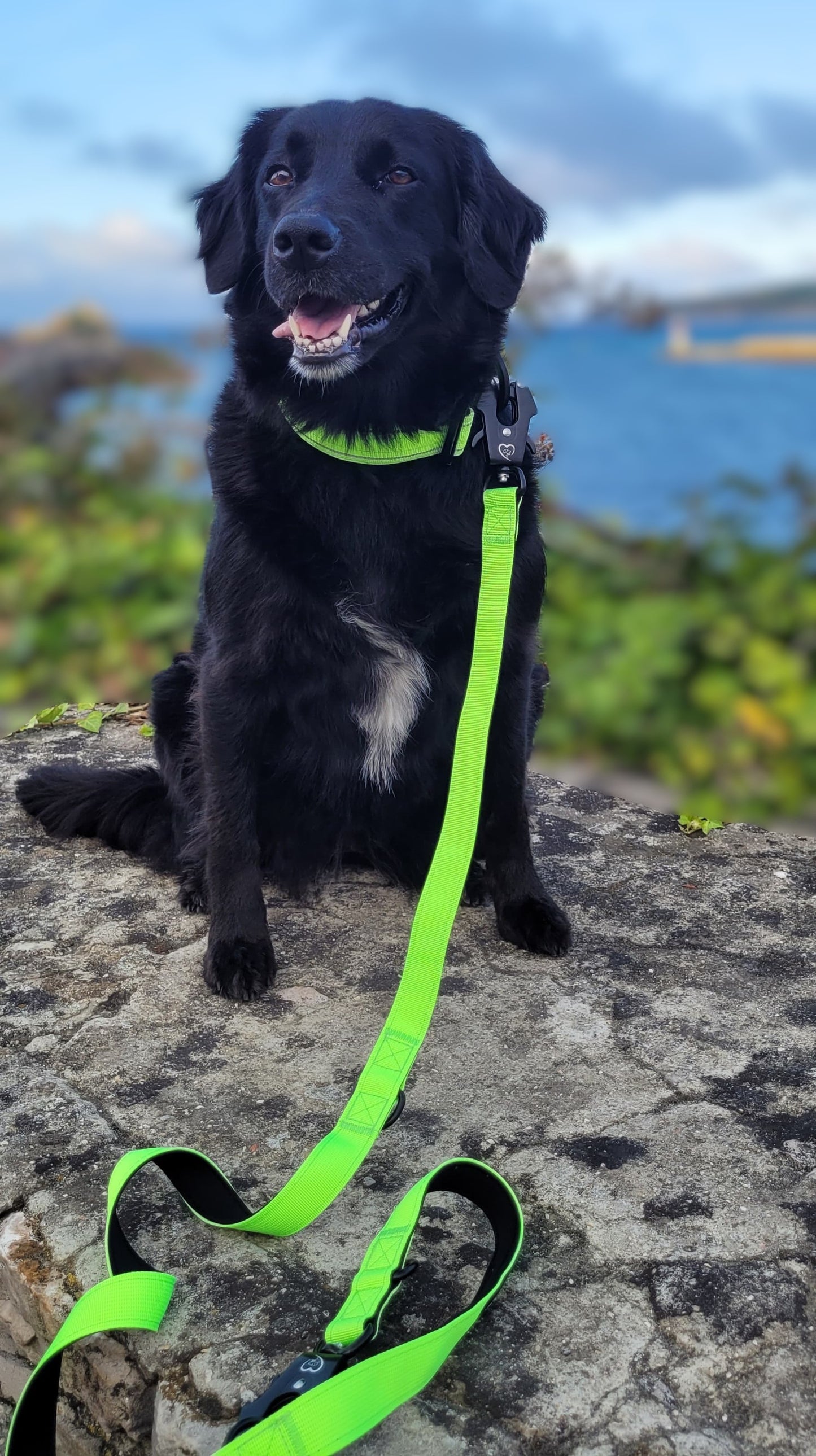 Correa Táctica con 3 posiciones y Cierre de Seguridad