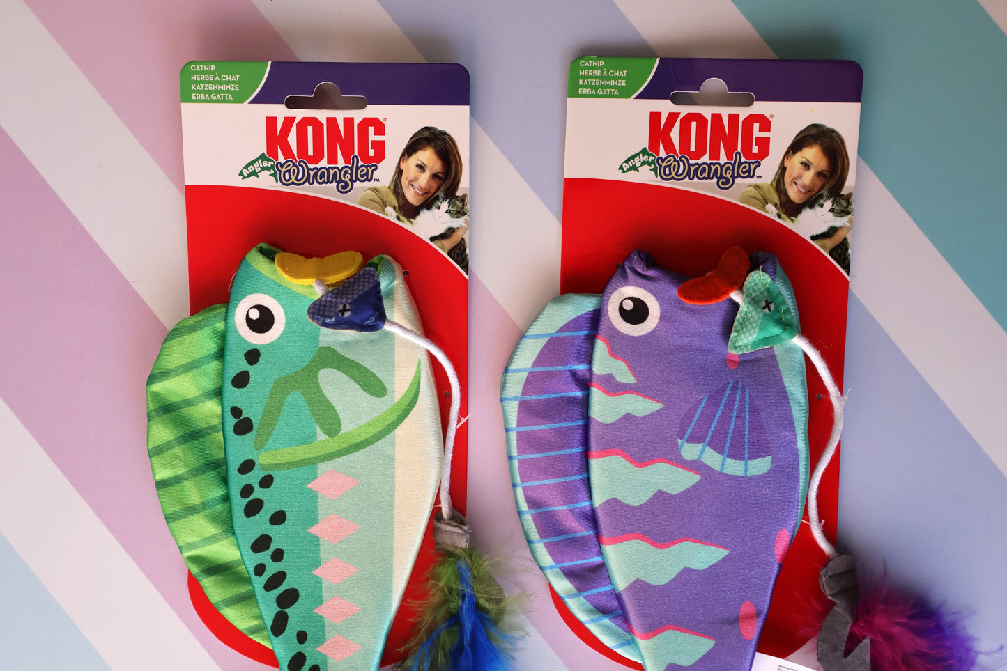 KONG Fish with removable skeleton, catnip and scratch