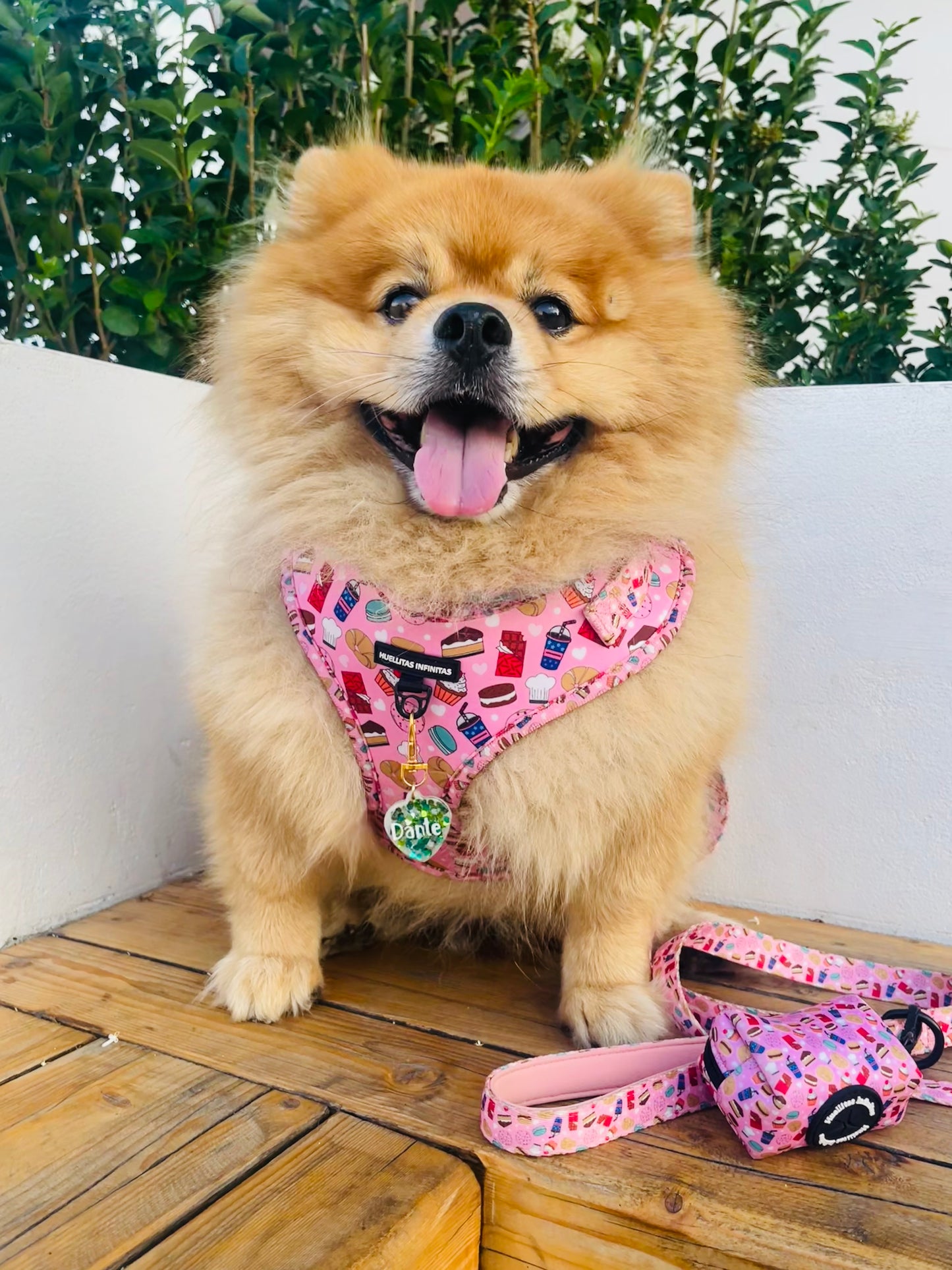 Sweet Wishes Collection Pack consisting of: Harness + Leash + Bag Holder.