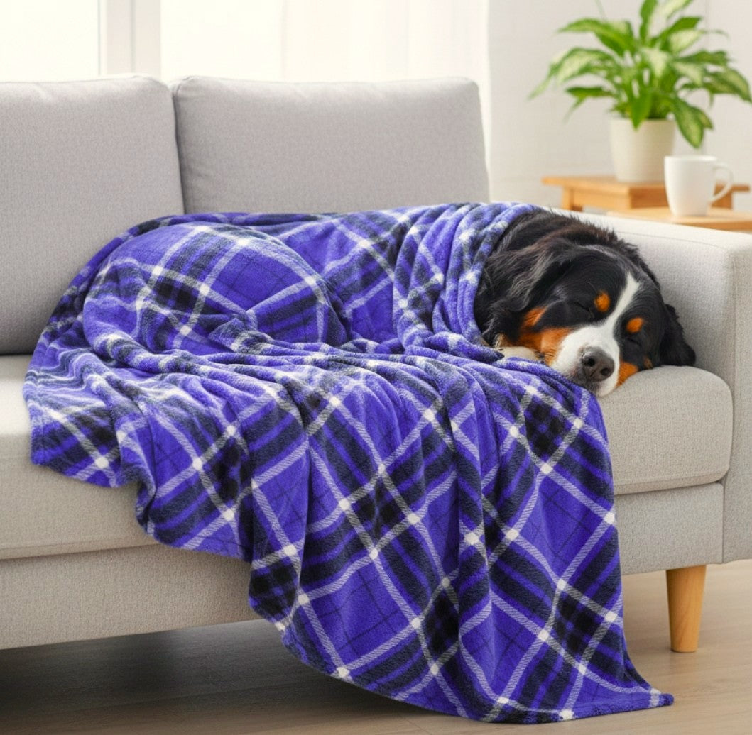 Fair Blanket. Keep warm in the most fun and elegant Fairs