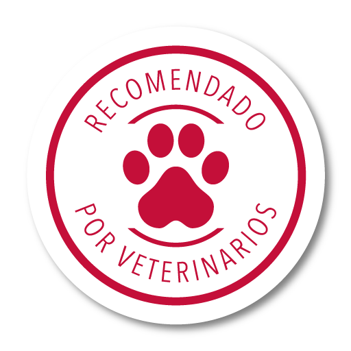 Juguete Cruceta Atómica XT-DOG