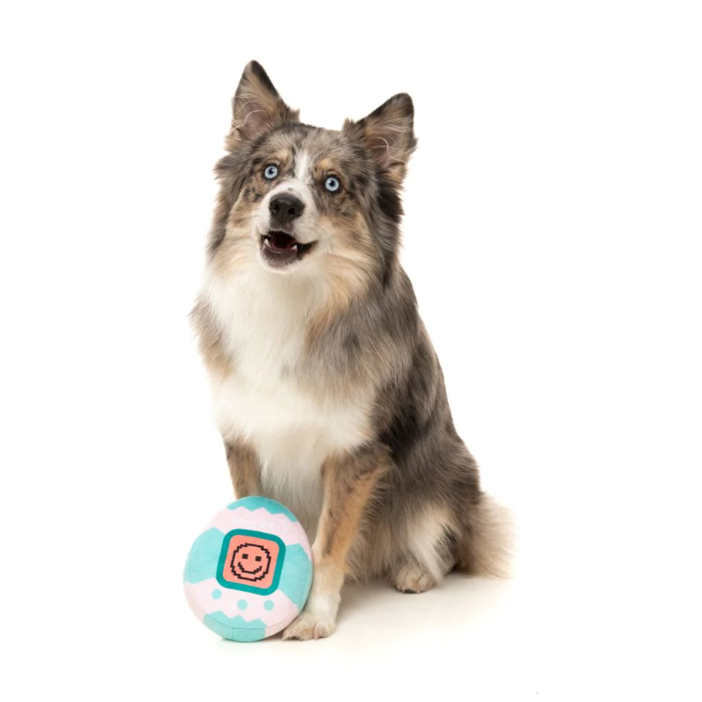 Tamadogchi plush toy for dogs