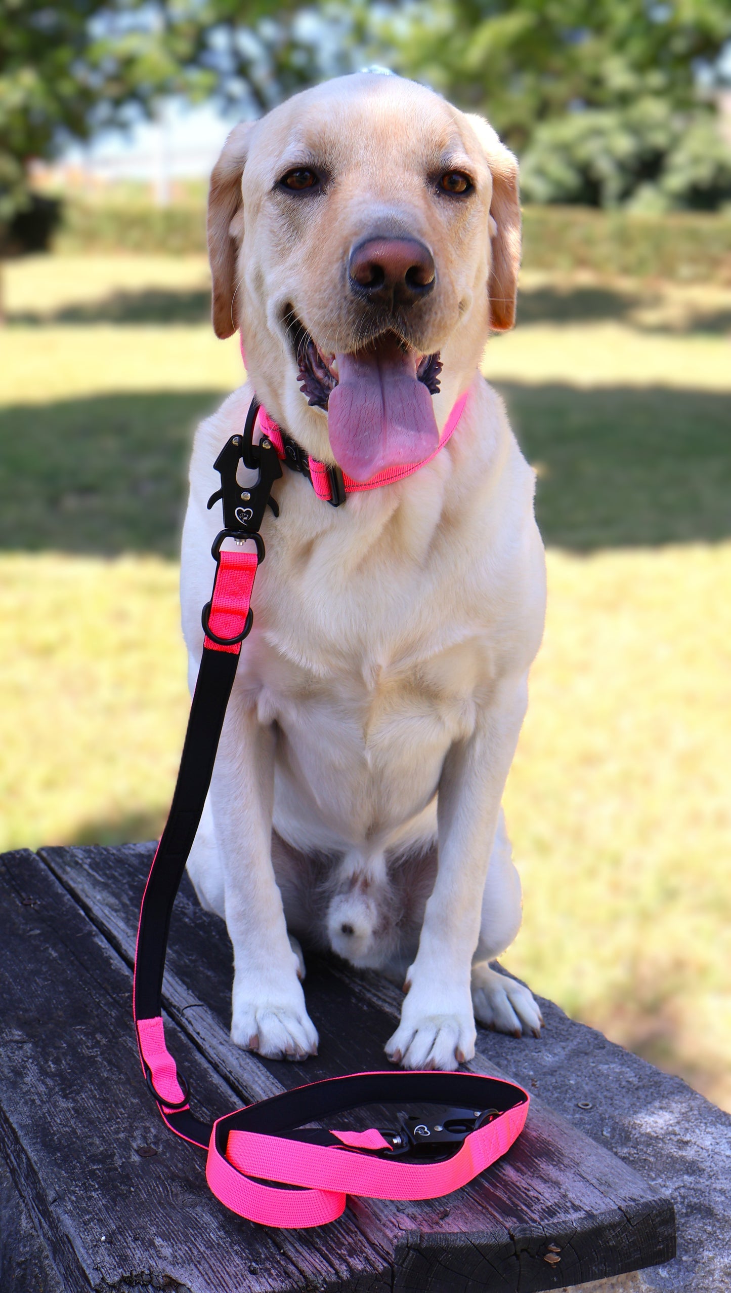 Correa Táctica con 3 posiciones y Cierre de Seguridad