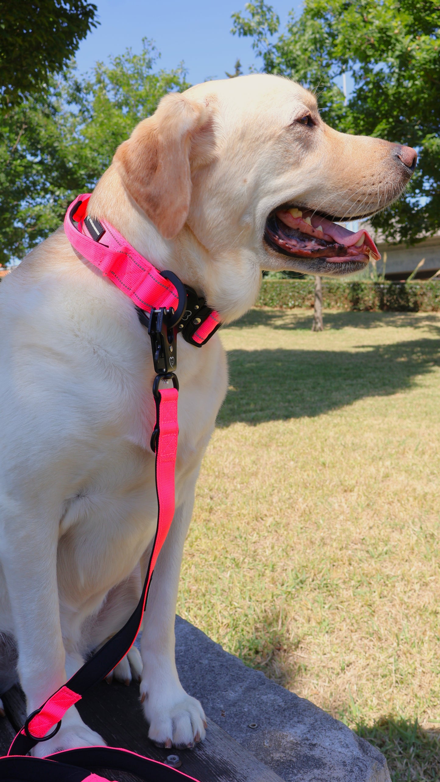 Correa Táctica con 3 posiciones y Cierre de Seguridad