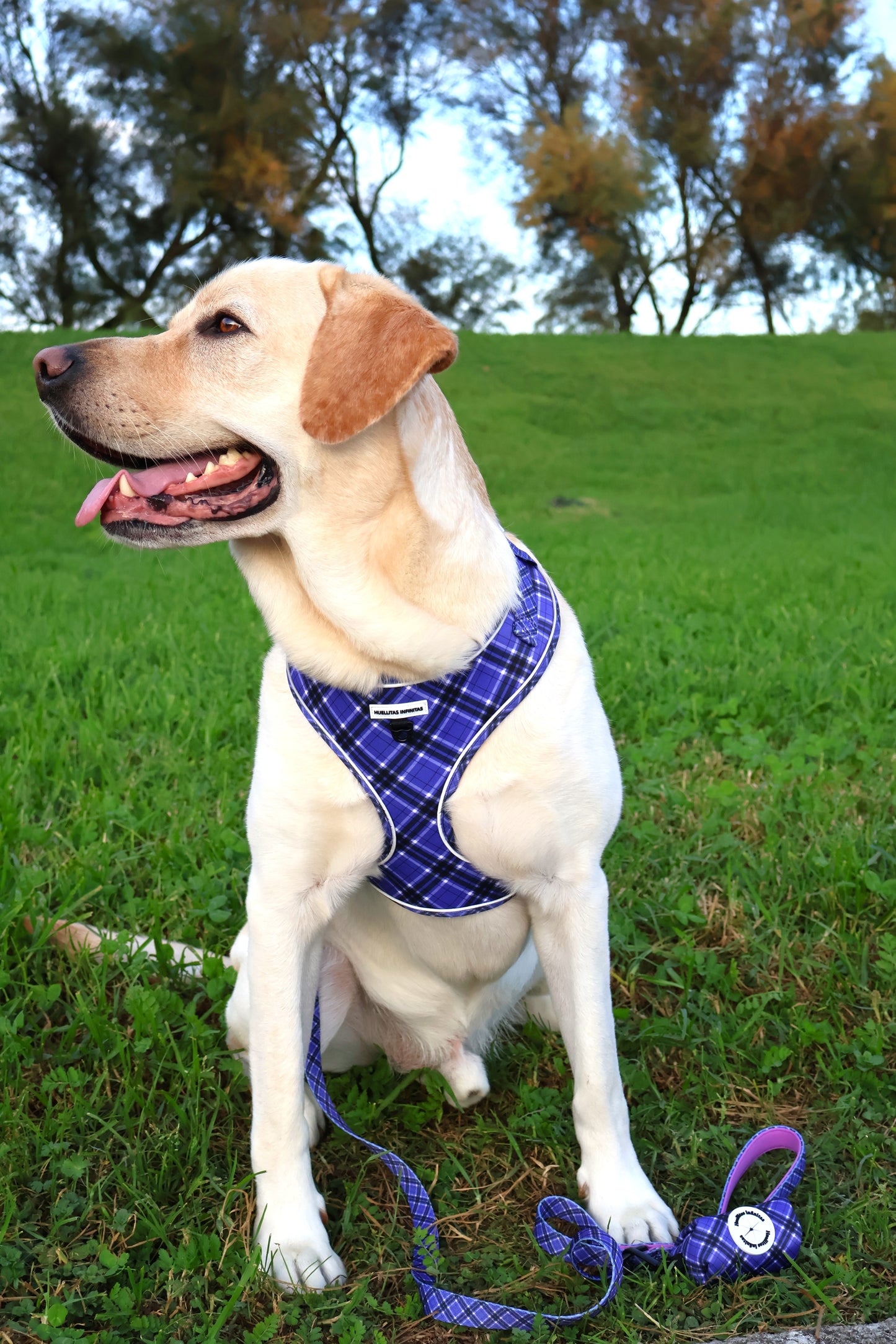 ¡ Nuevo! Arnés Ajustable Lavanda