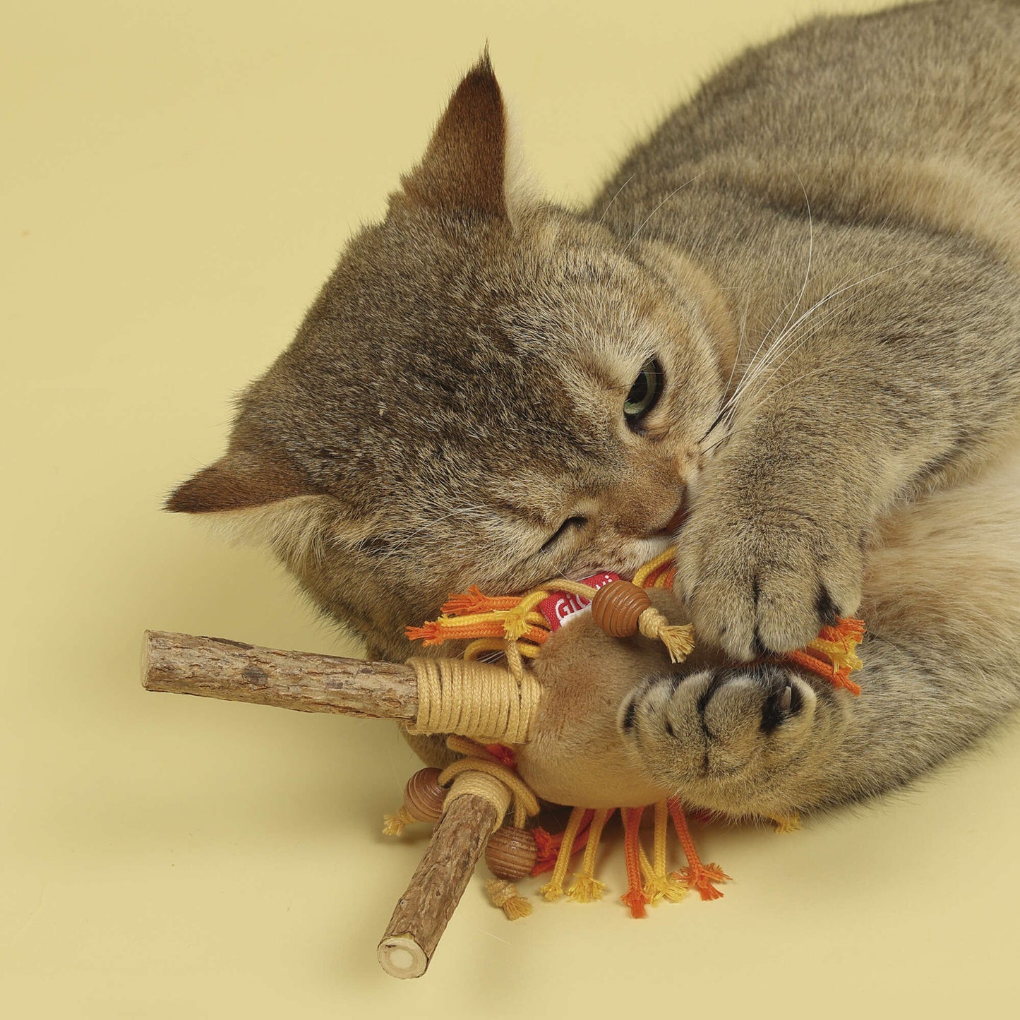 Juguete para gatos. Juguete leoncito eco line para gatos con silvervine de GiGWI – CATCH & SCRATCH con silvervine GiGwi