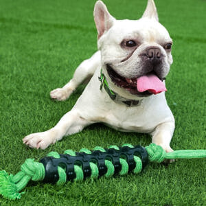 Heavy duty dog toy. Braided toy for the strongest jaws