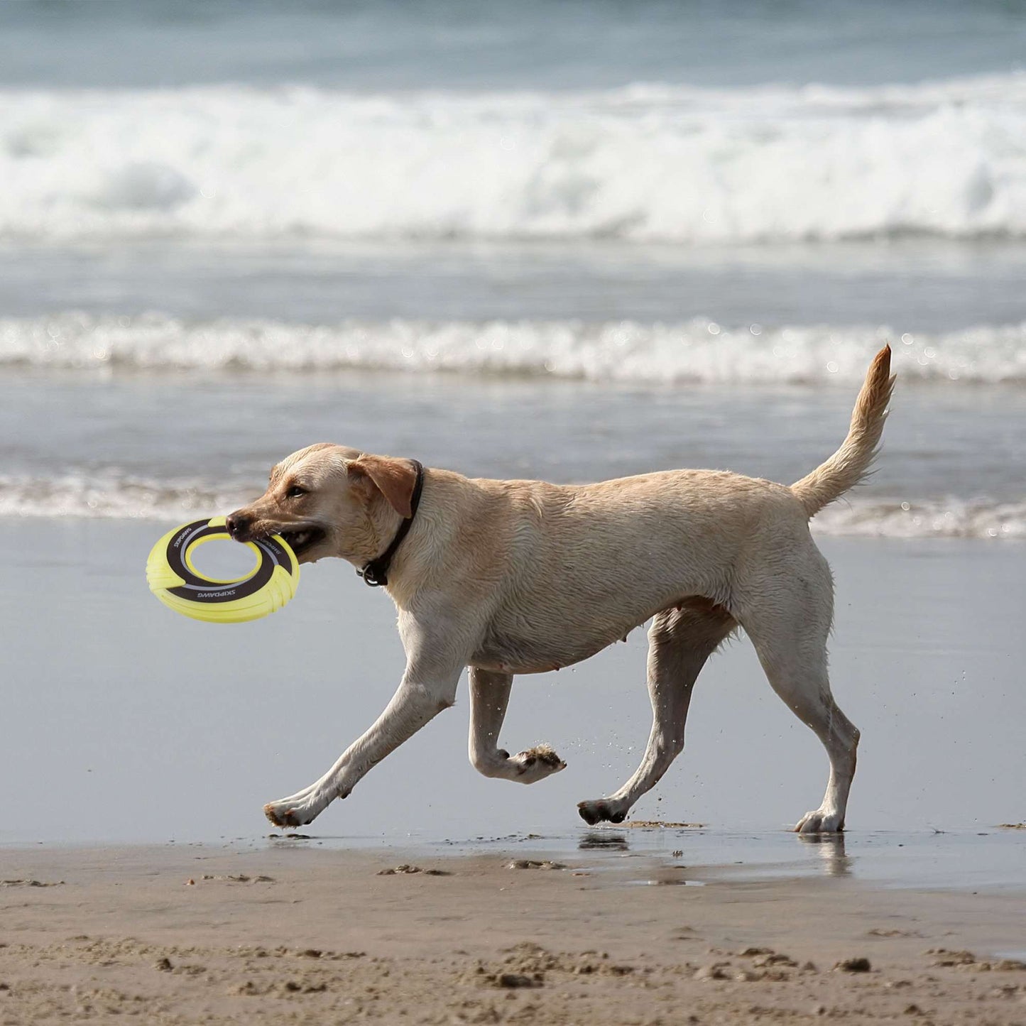 Skipdawg Flying Disc - Lighter, Throw with less effort and go further