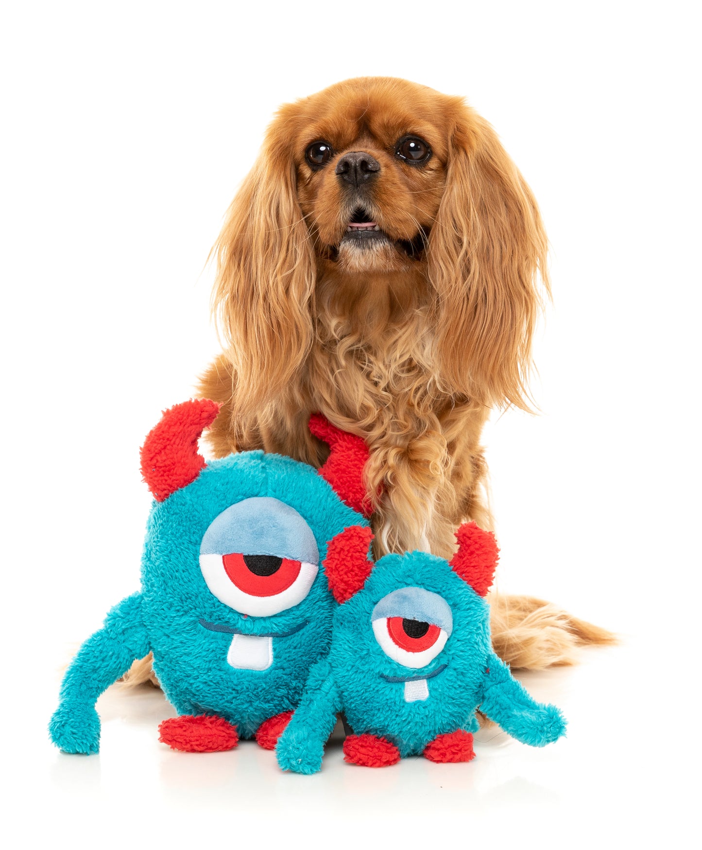 ARMSTRONG Blue Plush Dog Toy