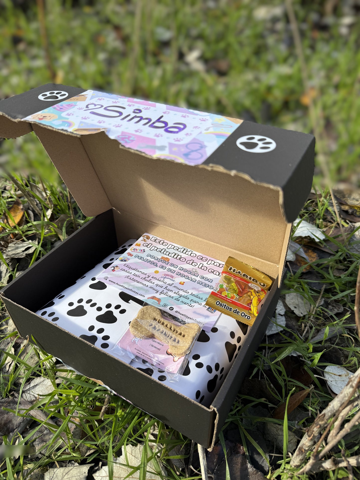 Pack Colección COLLAR LAVANDA Mirror Closure + Correa + Portabolsas