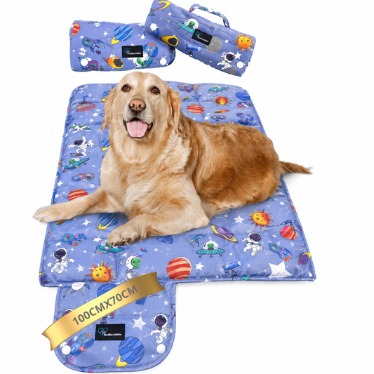 Cama Anti-arañazos + Waterproof Enrollable Colección Mundo Espacial