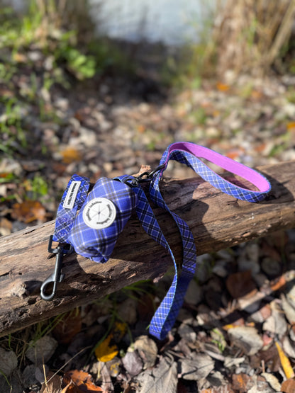 Pack Colección COLLAR LAVANDA Mirror Closure + Correa + Portabolsas