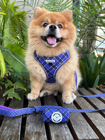 ¡ Nuevo Pack! Colección Lavanda. Arnés, Correa + Portabolsas.