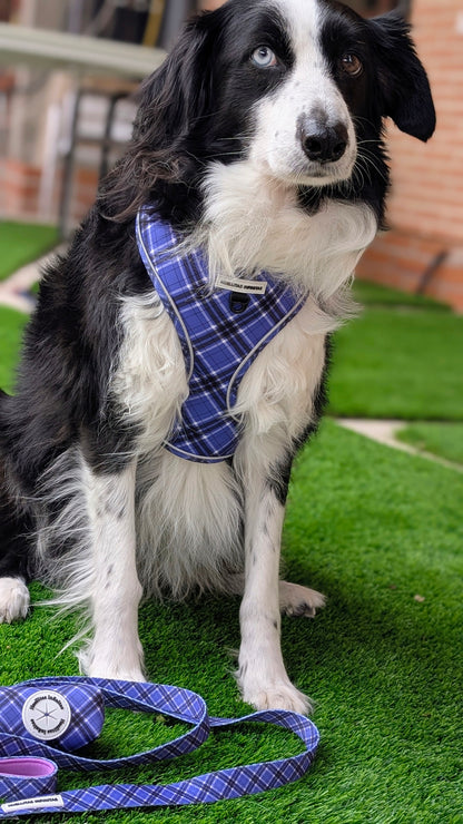 ¡ Nuevo! Arnés Ajustable Lavanda