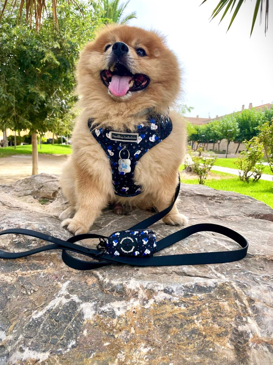 Correas Waterproof para perros y gatos 15. Tienda online de accesorios y juguetes para perros y gatos 18