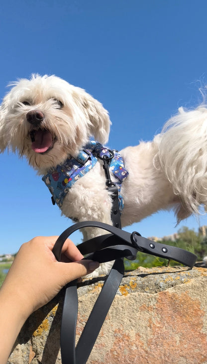 Correas Waterproof para perros y gatos 19. Tienda online de accesorios y juguetes para perros y gatos 22