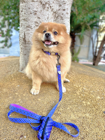 Pack Colección COLLAR LAVANDA Mirror Closure + Correa + Portabolsas