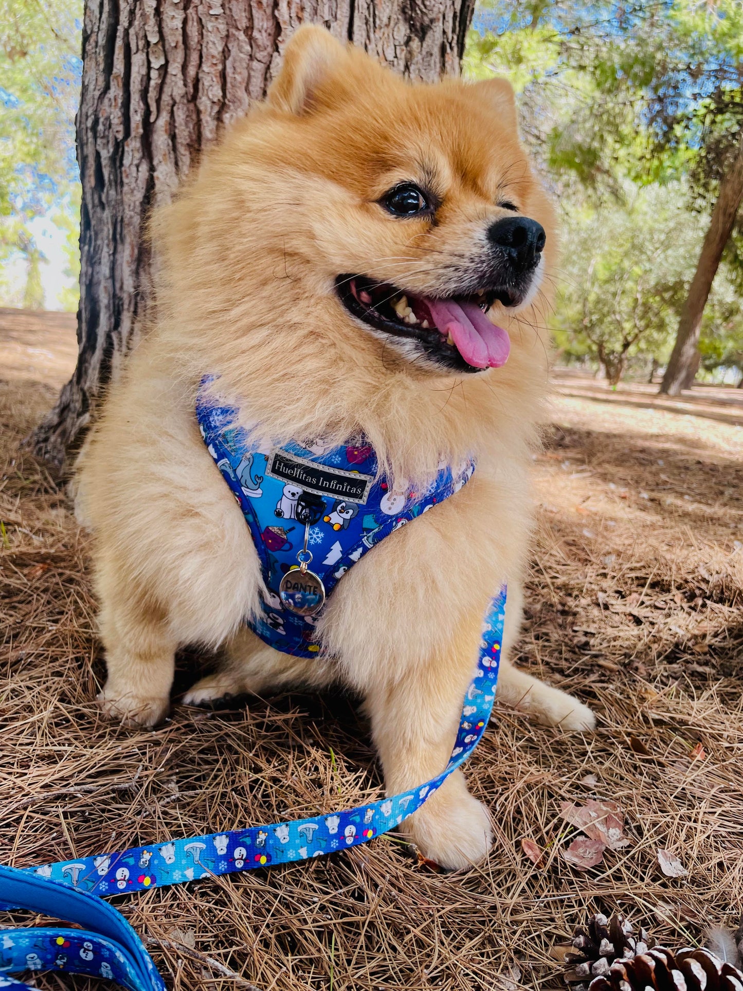 Penguin Friends Adjustable Harness 