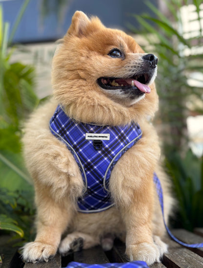 Colección Lavanda: Arnés+Correa+Portabolsas