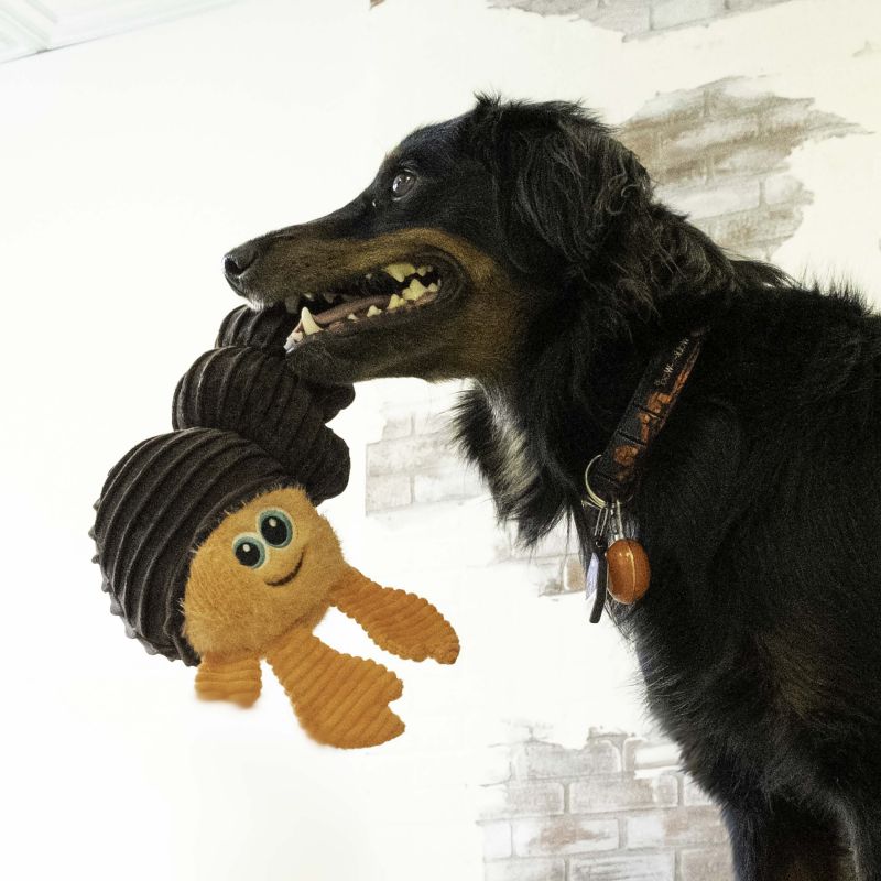 ¡Nuevo! Juguete KONG Cangrejo Hermitaño