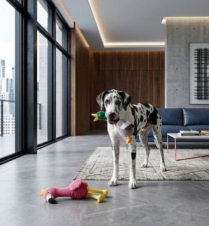 ¡Nuevo! KONG Juguete Cuckoos Para Perros