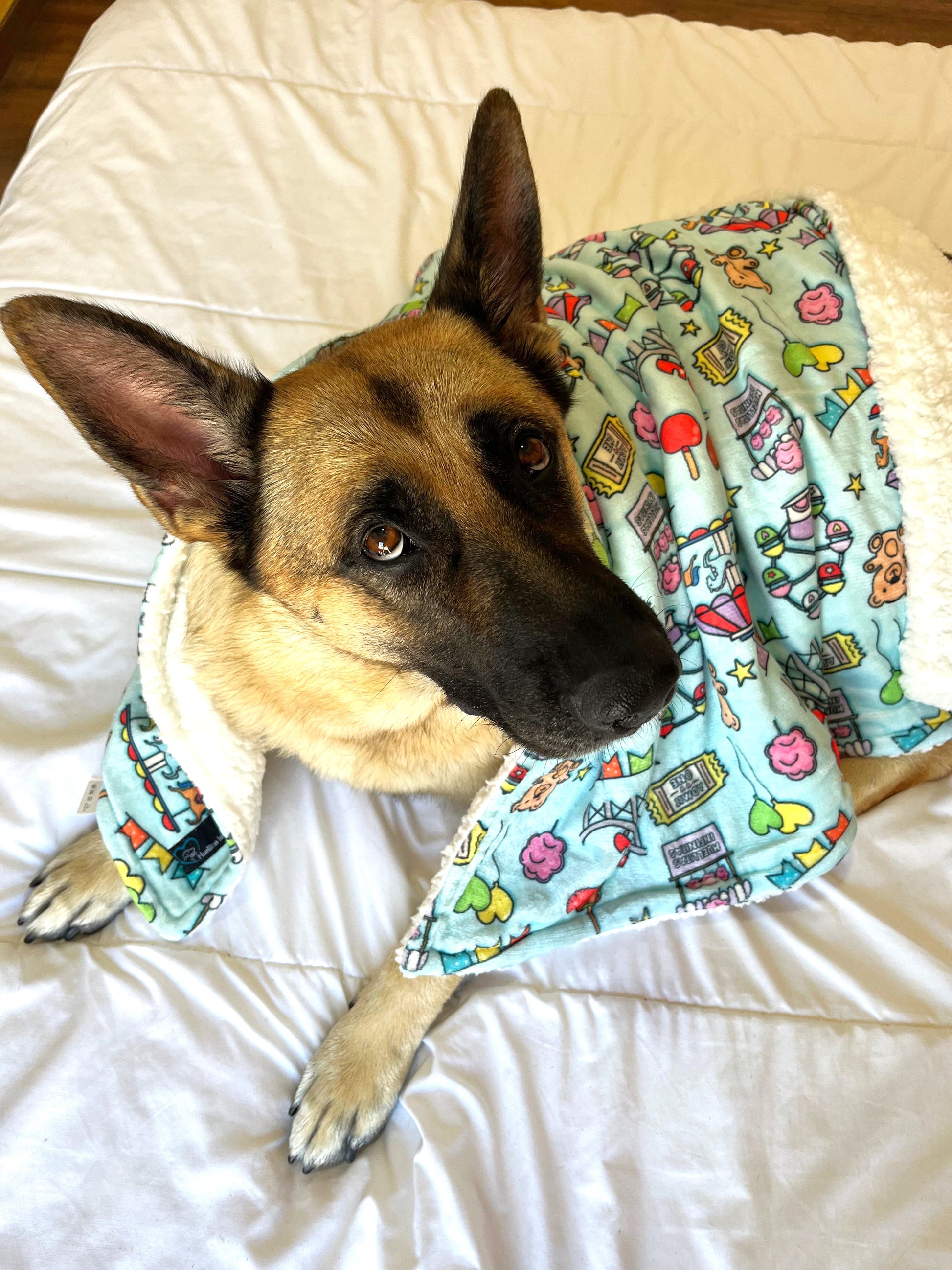 Manta FERIA 150X100cm para humanos, perritos grandes, o humanos y