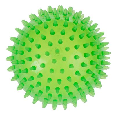 Pelota de Juego + Limpieza Dental.