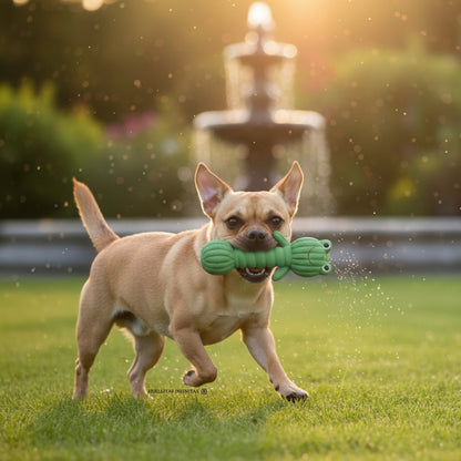 Rana En Forma de Pesa