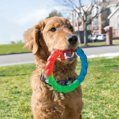 KONG TWISTZ RING S-M Aro lanzador-motivador de colores para perros