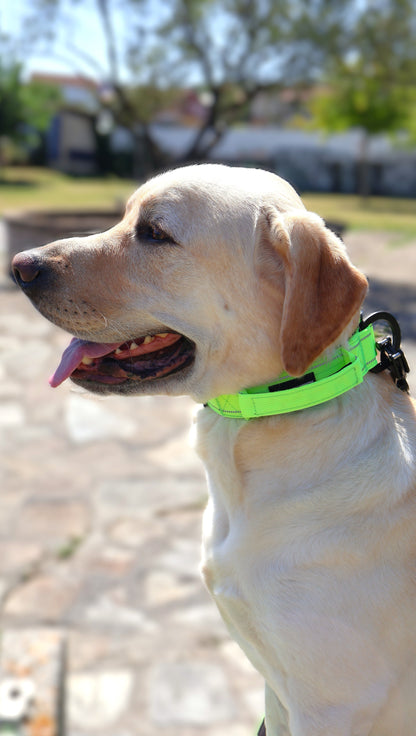 Collar Táctico Reflectante Premium con Cierre de Seguridad Reforzado.