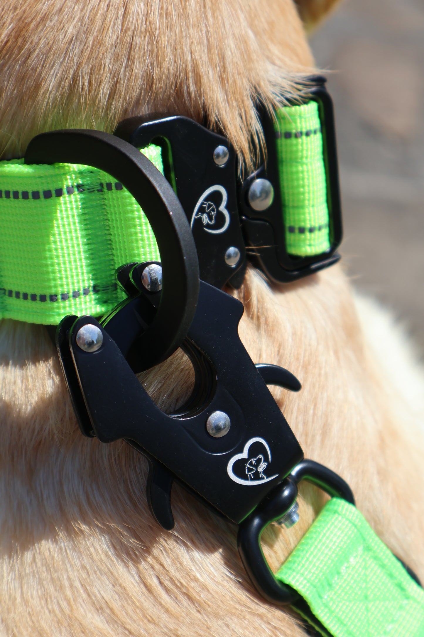 Collar Táctico Reflectante Premium con Cierre de Seguridad Reforzado.