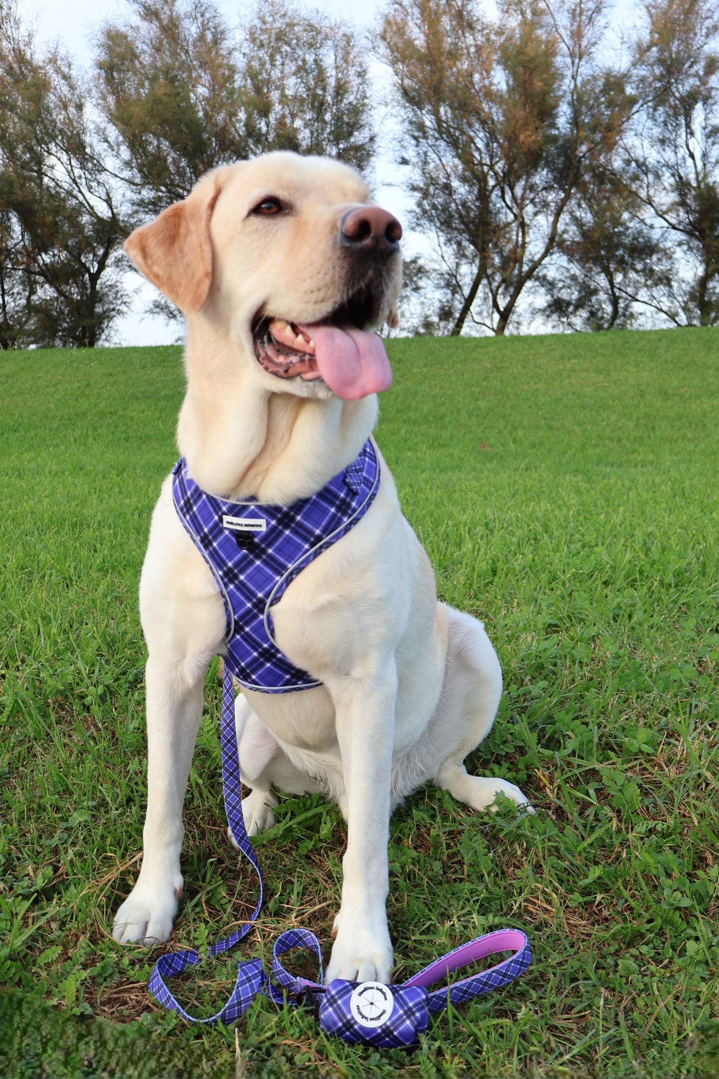 ¡ Nuevo! Arnés Ajustable Lavanda